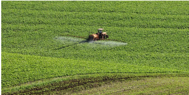 Brasil aposta em fertilizantes naturais para reduzir dependência russa