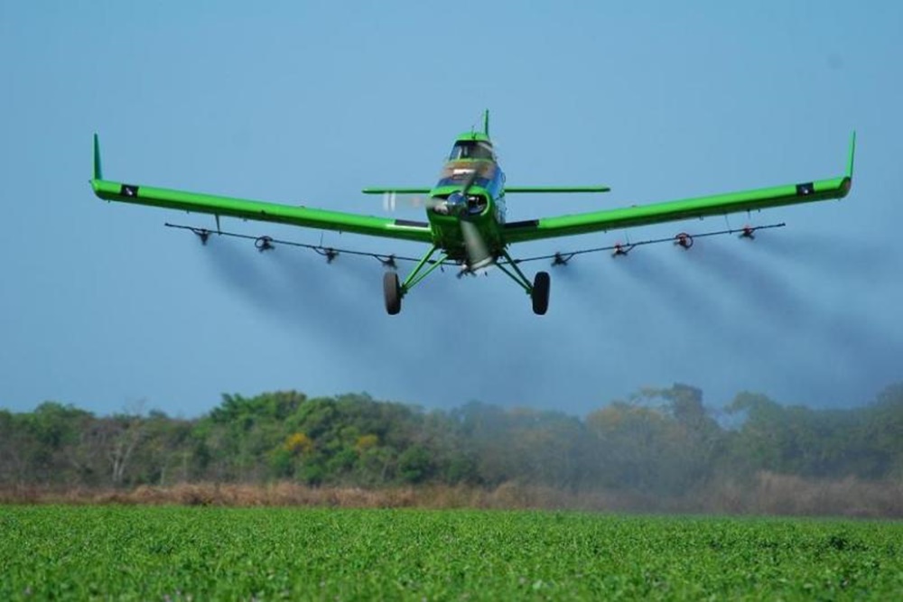 Aviação agrícola do Brasil se mobiliza para combater gafanhotos