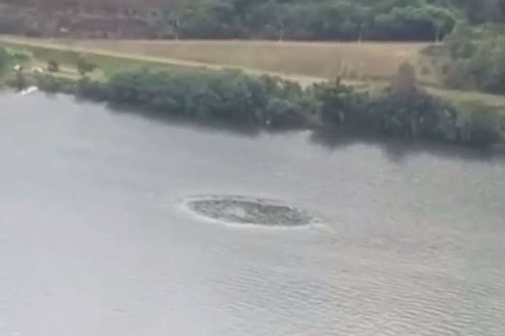 VÍDEO: Círculo misterioso se forma no leito do rio Uruguai próximo ao porto do Goio-Ên