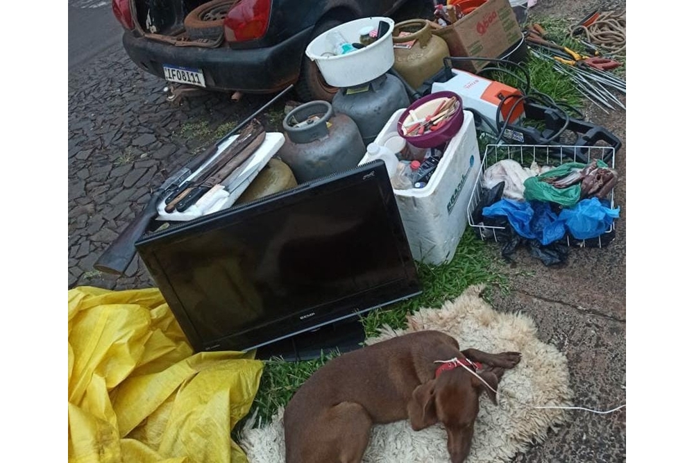 Ladrões fazem 'a limpa' em residência e levam até cachorro no Noroeste do RS