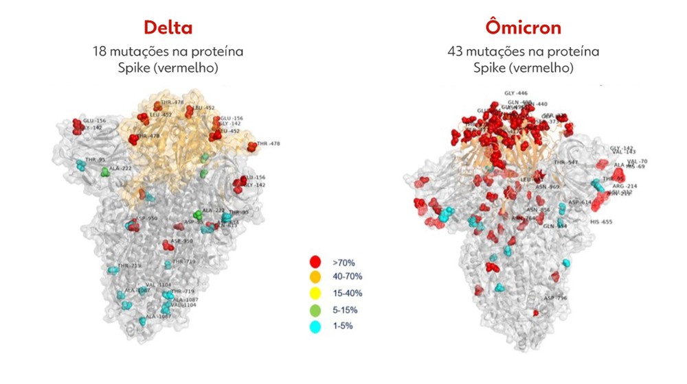 Primeira imagem da variante ômicron revela mais que o dobro de mutações que a delta