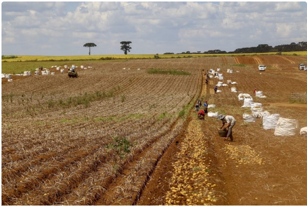 Sancionada com vetos lei que facilita captação de recursos para o setor rural