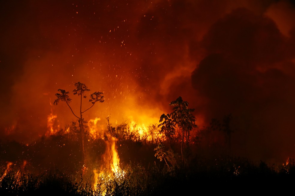 Chuva diminui focos de incêndio no Pantanal de MT após 4 meses de estiagem