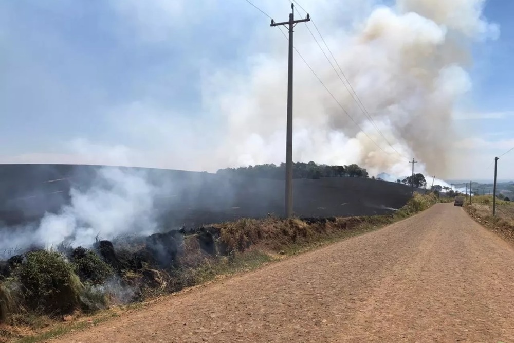 Incêndio de grandes proporções atinge lavouras e matas no noroeste do RS