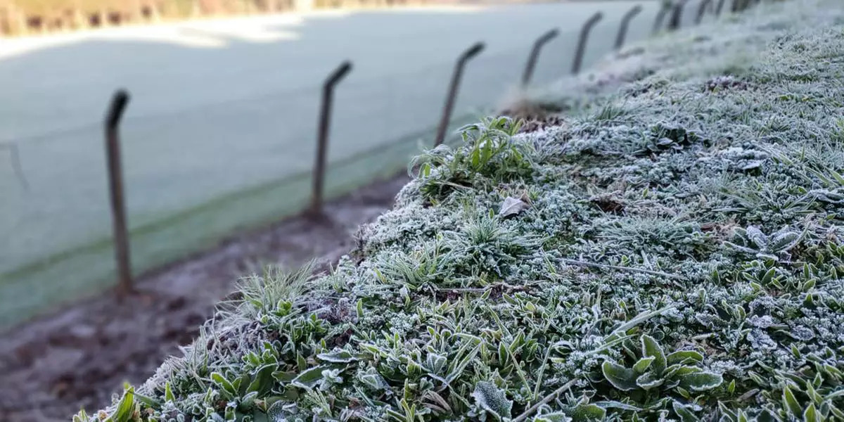 Cidades de RS e SC registram neve e temperaturas de até - 8°C