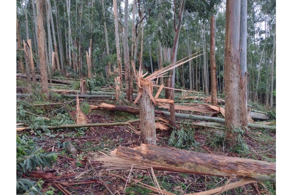 Defesa Civil confirma passagem de tornado em município do Oeste de SC