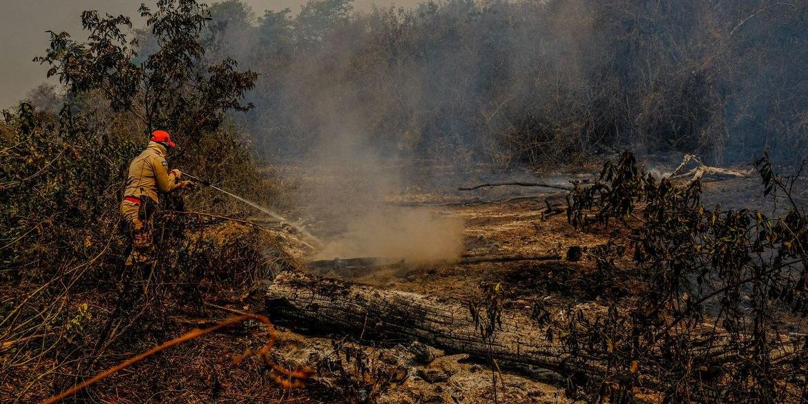 Fogo já destruiu 3,461 milhões de hectares do Pantanal