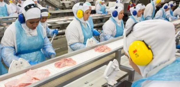 Brasil volta a ter aumento na exportação de carnes à China