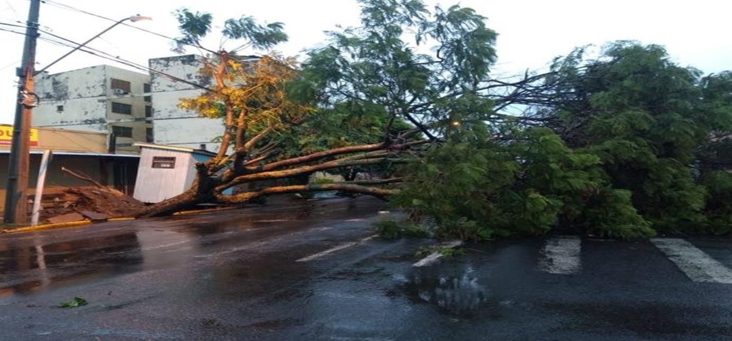 Temporal na Fronteira Oeste e Campanha provoca alagamentos e destelhamentos