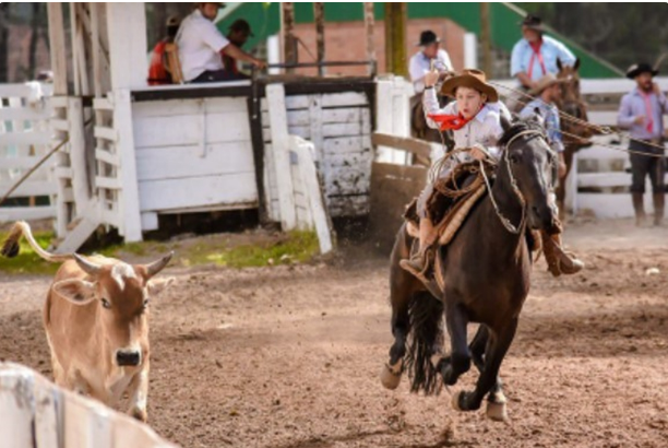 Deputado estadual irá protocolar projeto pedindo o fim dos rodeios no RS