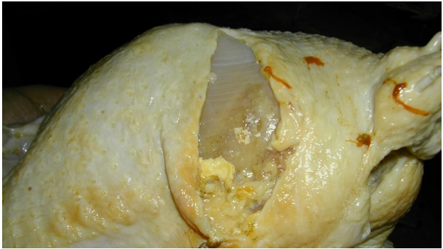Celulite nos frangos causa perdas econômicas de mais de 10 milhões de dólares no Brasil