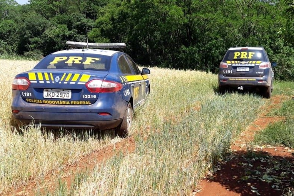 PRF apoia investigação da Polícia Federal sobre comboio interceptado transportando maconha