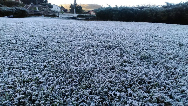 Prepare os casacos que vem frio por aí! Geada prevista para esta semana