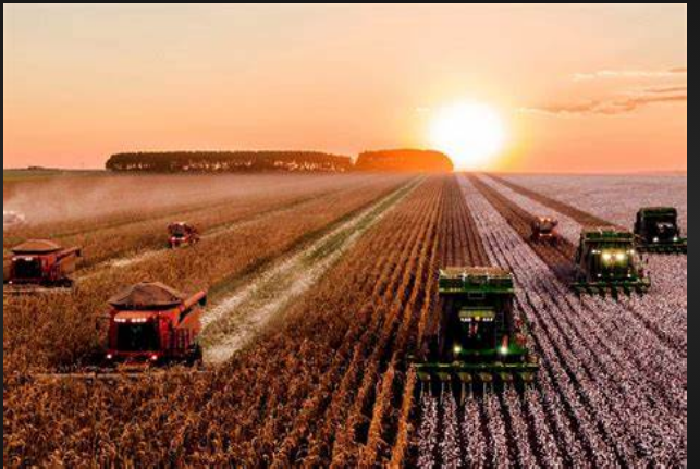 Autoridades do setor agrícola falam na reunião da Comissão de Agricultura