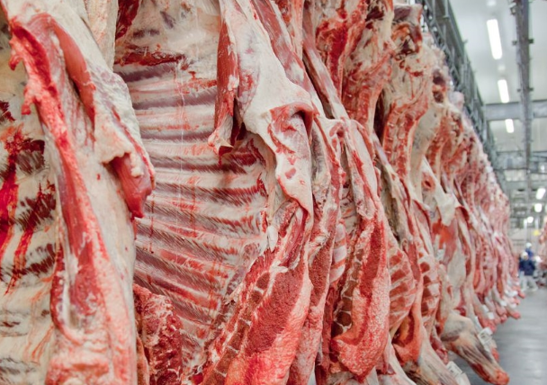 Exportações totais de carne bovina caem 29% na receita e 16% no volume, em fevereiro