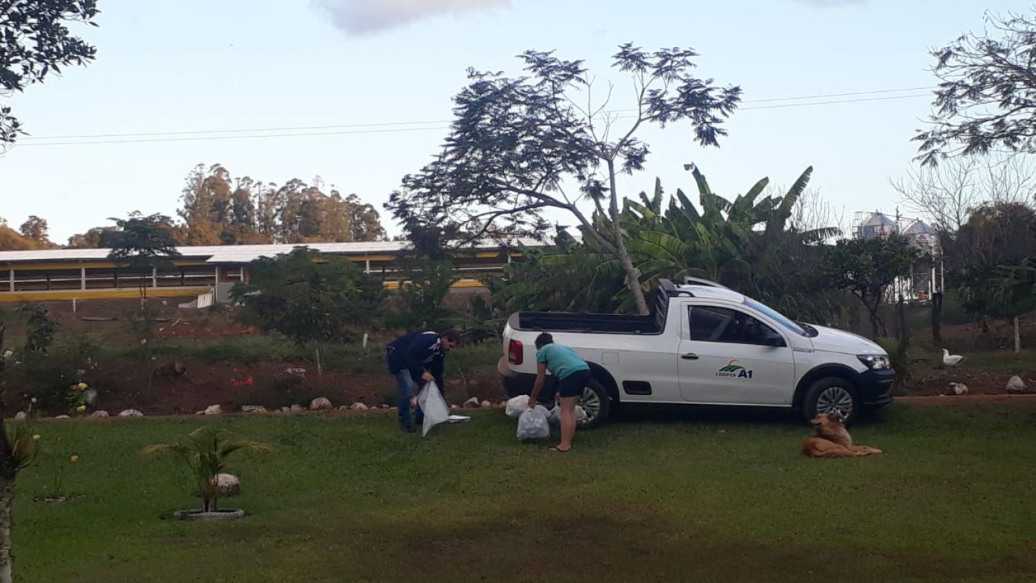 PROGRAMA COLETA SEGURA: Mais 24,07 mil quilos de resíduos retirados do campo