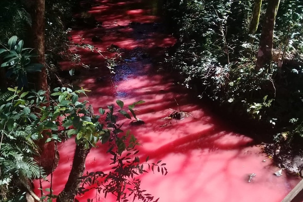 'Rio vermelho' parecendo sangue chama atenção nas redes sociais