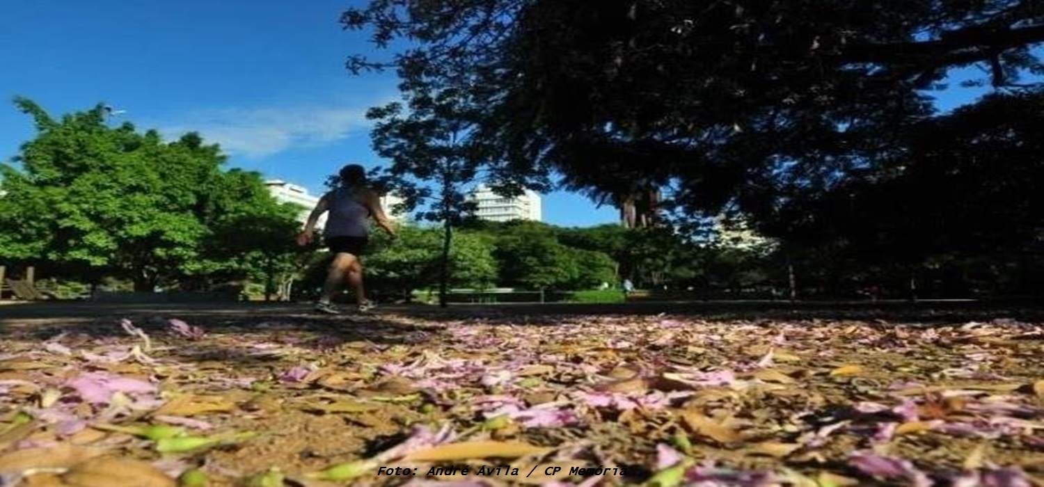 Outono inicia nesta terça-feira à tarde