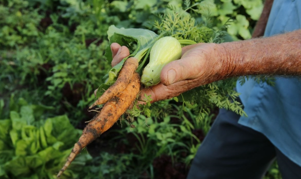 Brasil terá crédito de US$ 1,2 bi para projetos agrícolas