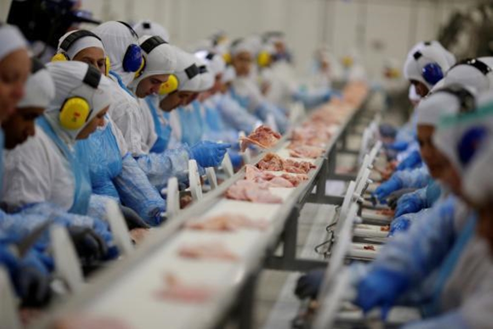 China proíbe importação de carne suína de frigorífico de Chapecó