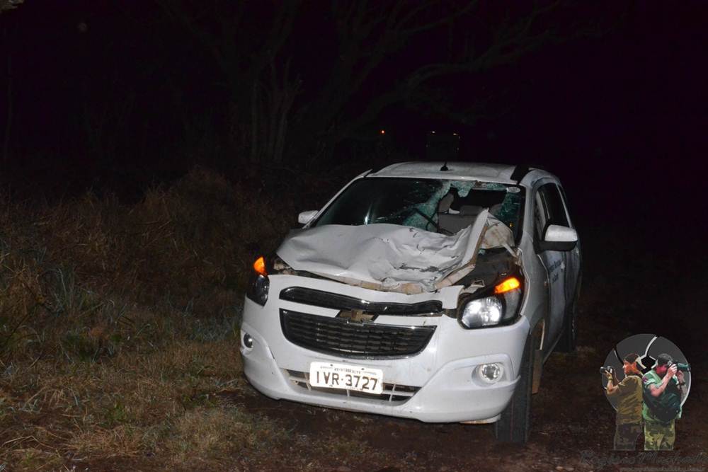 Veículo da saúde de Ronda Alta colide em animal na pista na ERS 404 em Sarandi